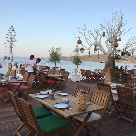 No 111 Boutique Hotel *