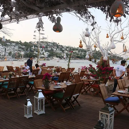 No 111 Boutique Hotel